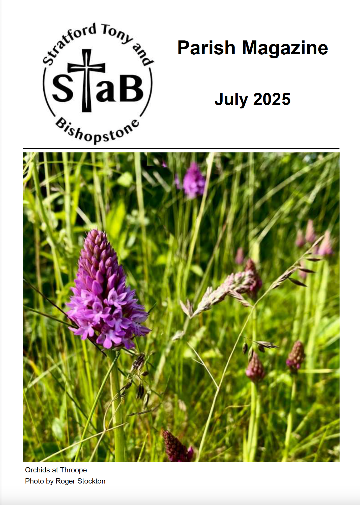 Cover of STaB July 2025